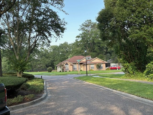 Beautiful oak tree lined streets